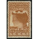 Wien 1911 Internationale Postwertzeichen Ausstellung (braun)