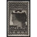 Wien 1911 Internationale Postwertzeichen Ausstellung (graublau)