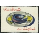 Die Forelle der Edelfisch