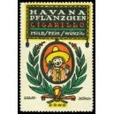 Havana Pflänzchen Cigarillo Mild Fein Würzig