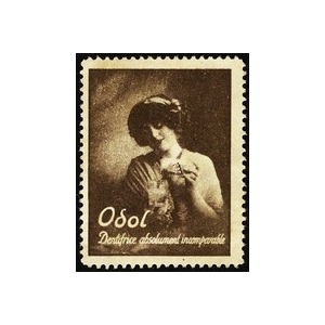 https://www.poster-stamps.de/1634-1752-thickbox/odol-absolument-incomparable-wk-06.jpg