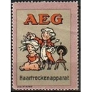 AEG Haartrockenapparat (Var. A klein)