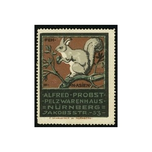 https://www.poster-stamps.de/1833-2071-thickbox/probst-pelzwarenhaus-nurnbeg-feh.jpg