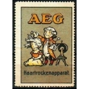 AEG Haartrockenapparat (grosses Format)