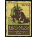 Kosmos Tiere der Vorwelt 1 Trigeratops Obere Kreide