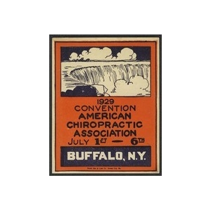 https://www.poster-stamps.de/2416-2667-thickbox/buffalo-1929-convention-american-chiropractic-association.jpg
