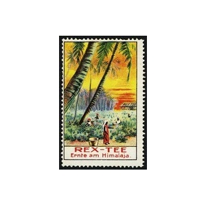 https://www.poster-stamps.de/3597-3900-thickbox/rex-tee-ernte-am-himalaja.jpg