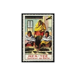 https://www.poster-stamps.de/3598-3901-thickbox/rex-tee-sortieren-der-blatter.jpg