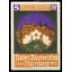 Nürnberg 1913 Bayr. Blumentag ... (Stadt)