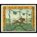 Sonderburg 1913 Kreis-Ringreiterfest ... (WK 01)