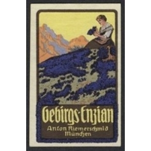 https://www.poster-stamps.de/4779-5300-thickbox/riemerschmid-gebirgs-enzian-munchen-01.jpg