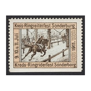 https://www.poster-stamps.de/4962-5550-thickbox/sonderburg-1911-kreis-ringreiterfest-01.jpg