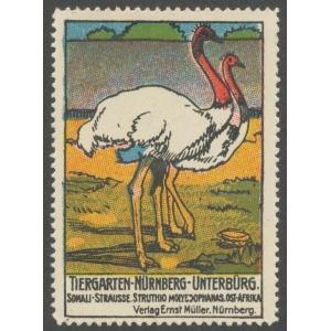 https://www.poster-stamps.de/659-5899-thickbox/nurnberg-tiergarten-unterburg-somali-strausse.jpg