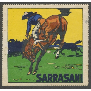 https://www.poster-stamps.de/769-5900-thickbox/sarrasani-wk-22-zureiter.jpg