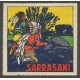 Sarrasani (WK 23 - 2 Indianer auf Lauer)